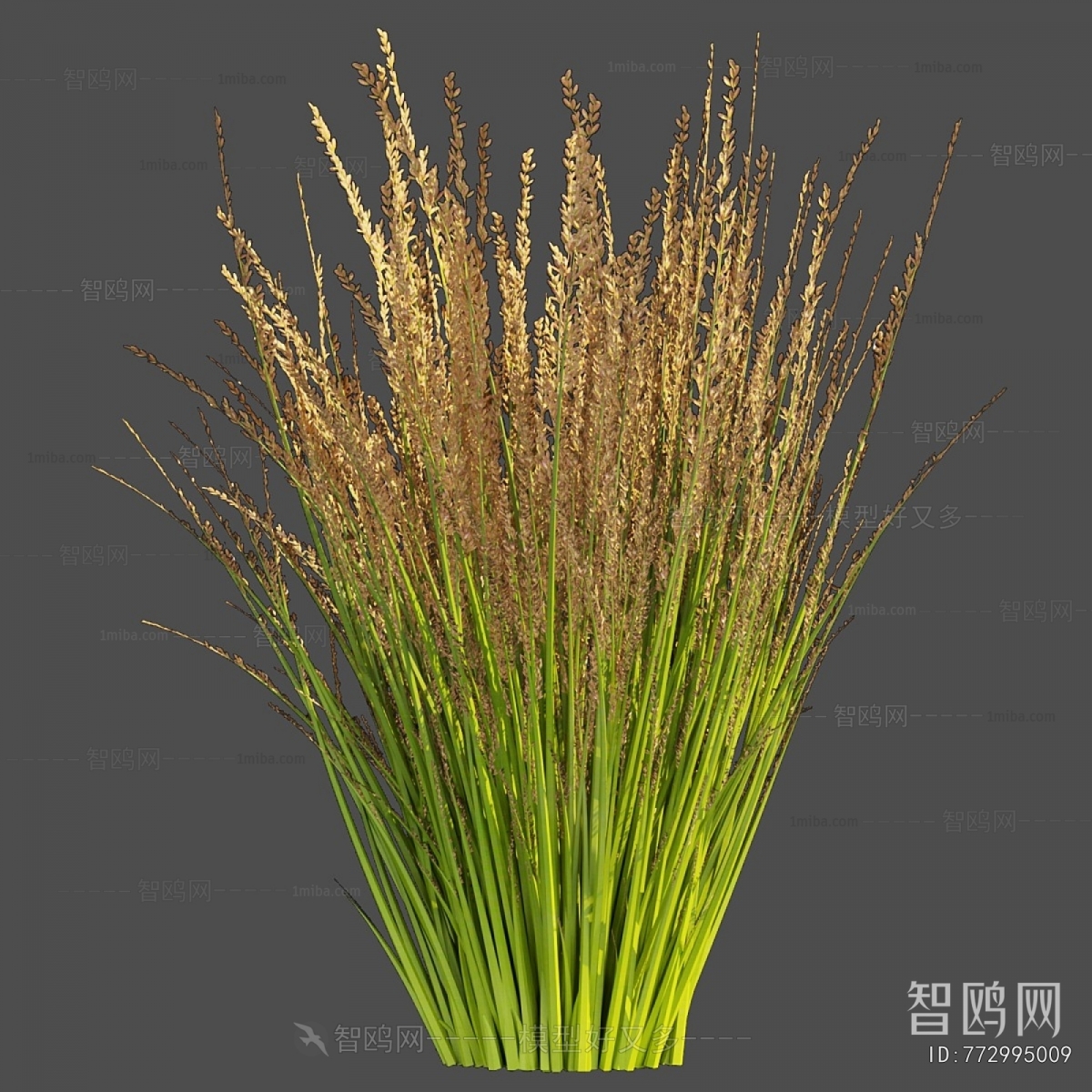 Modern The Grass
