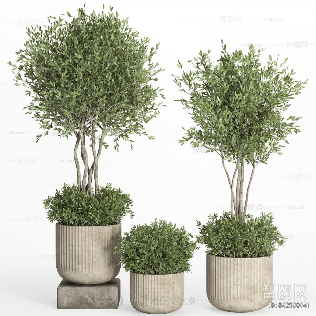 Modern Ground Green Plant Potted Plants