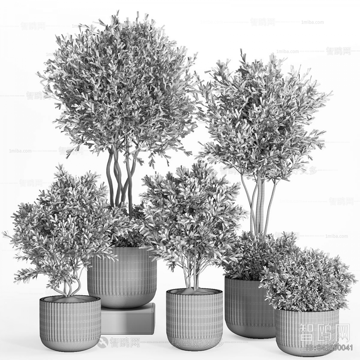 Modern Ground Green Plant Potted Plants