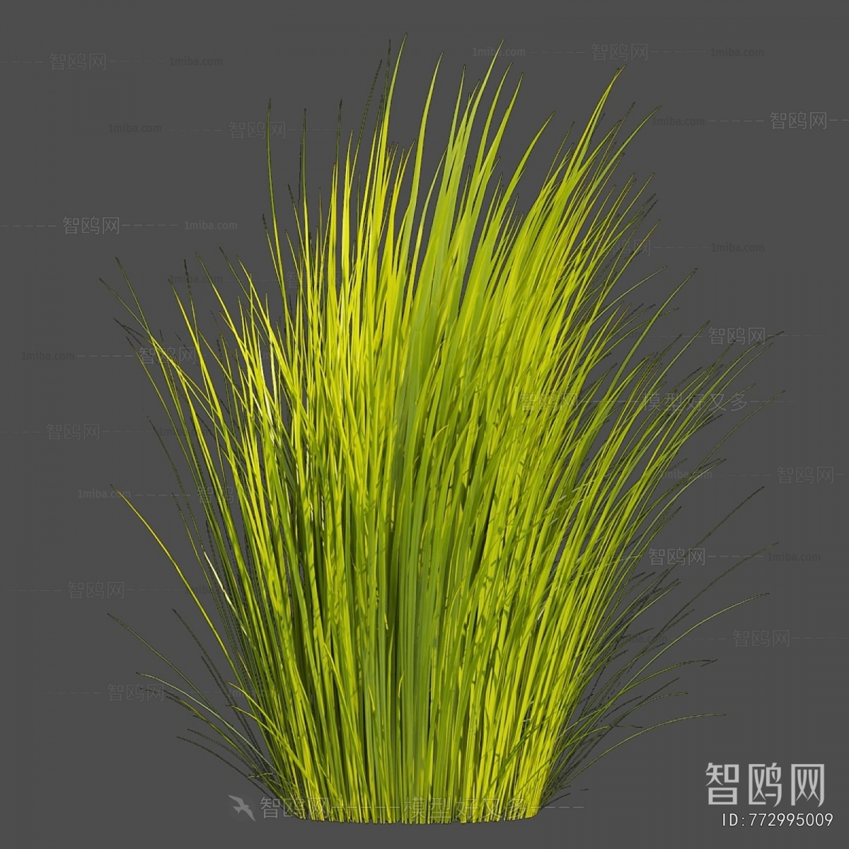 Modern The Grass