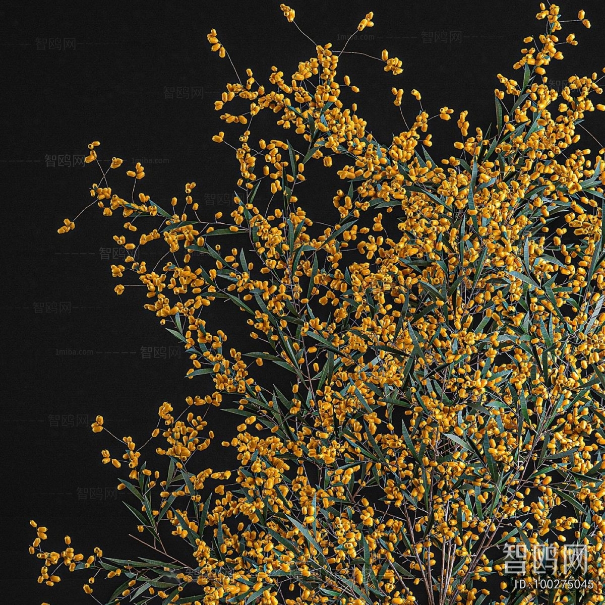 Modern Flower Arrangement