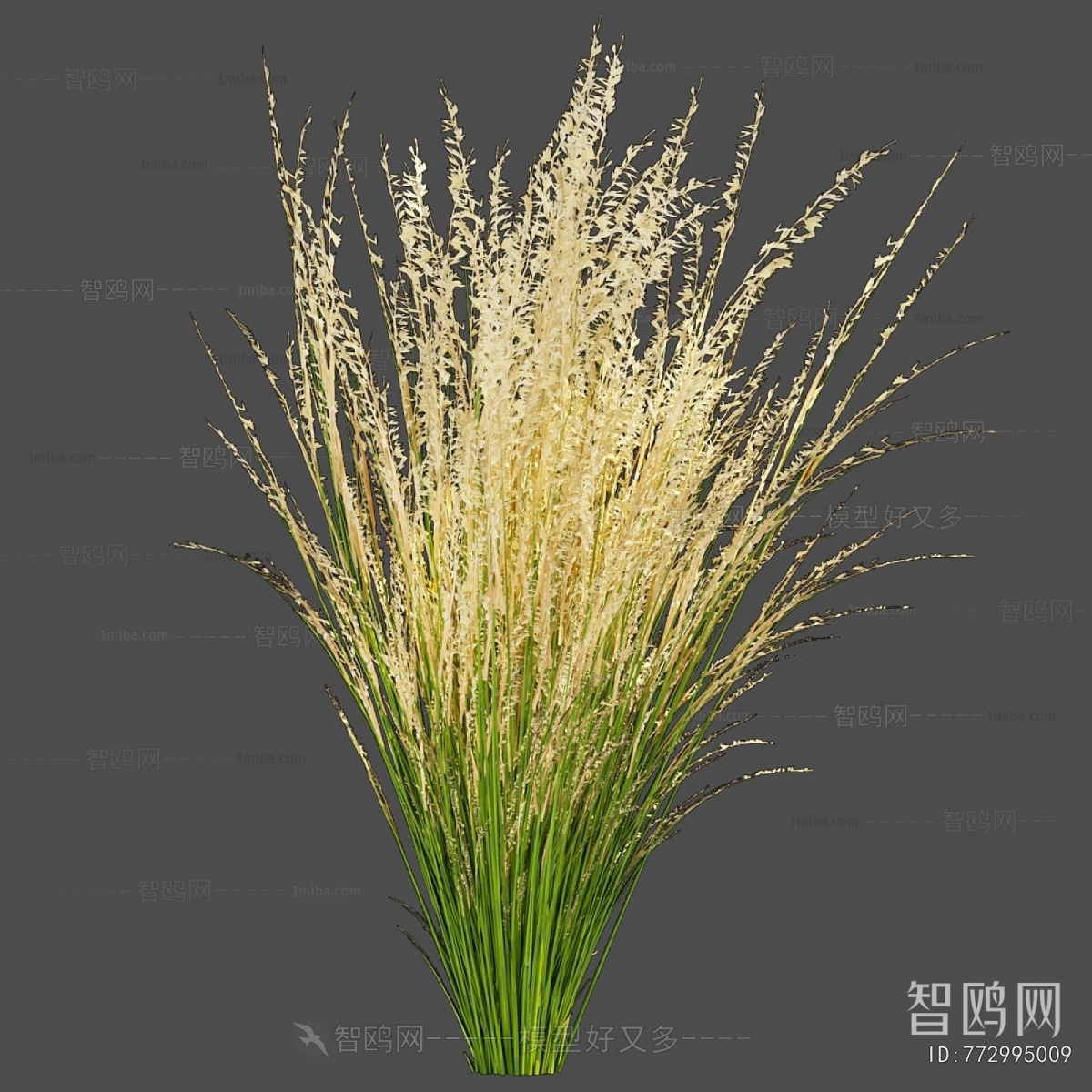 Modern The Grass