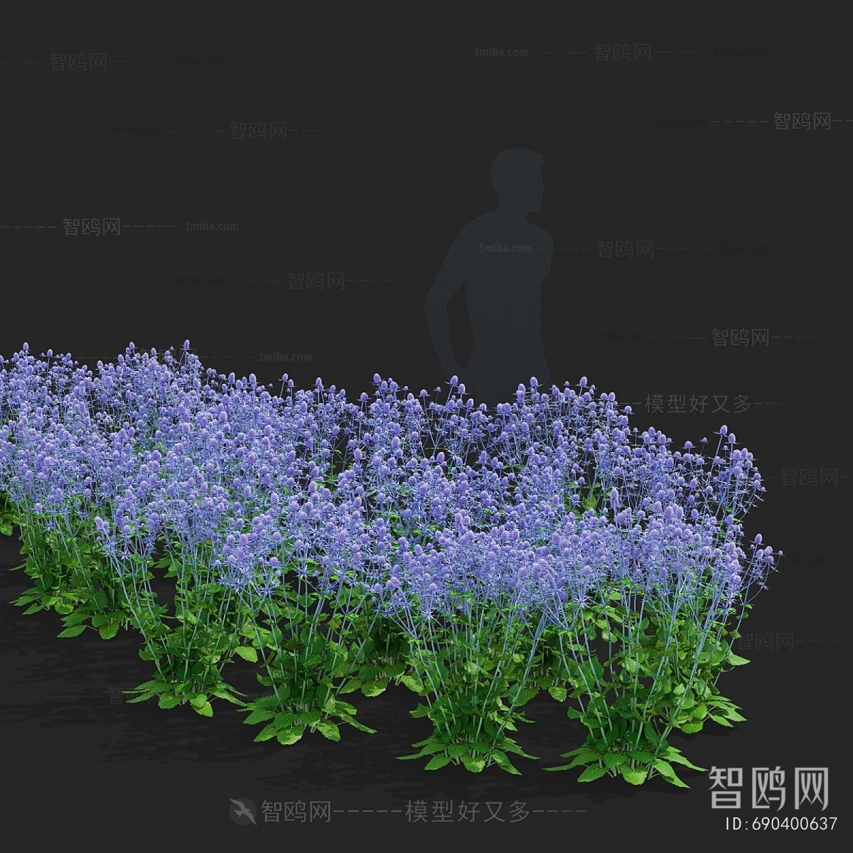 Modern Flowers And Grass