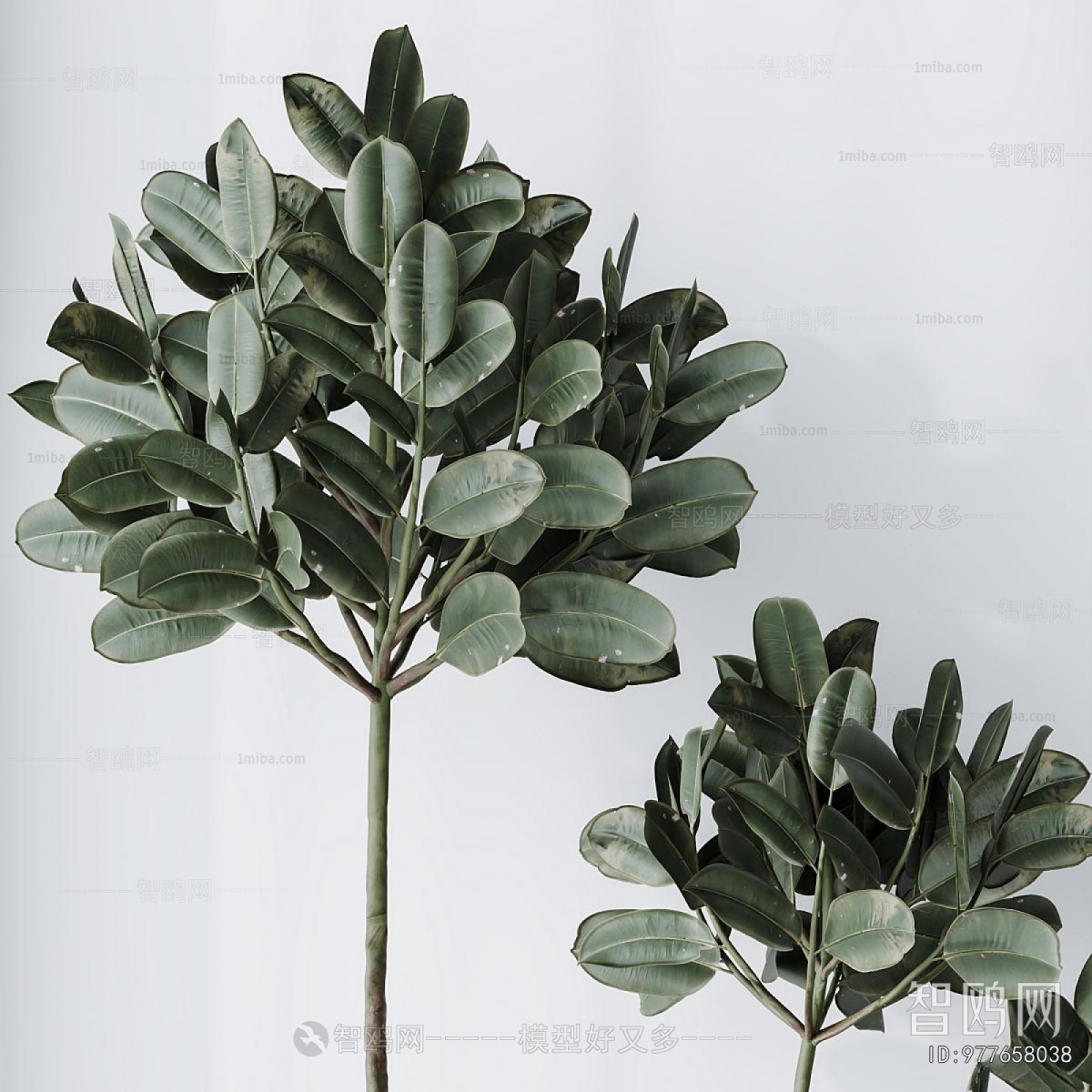 Modern Ground Green Plant Potted Plants