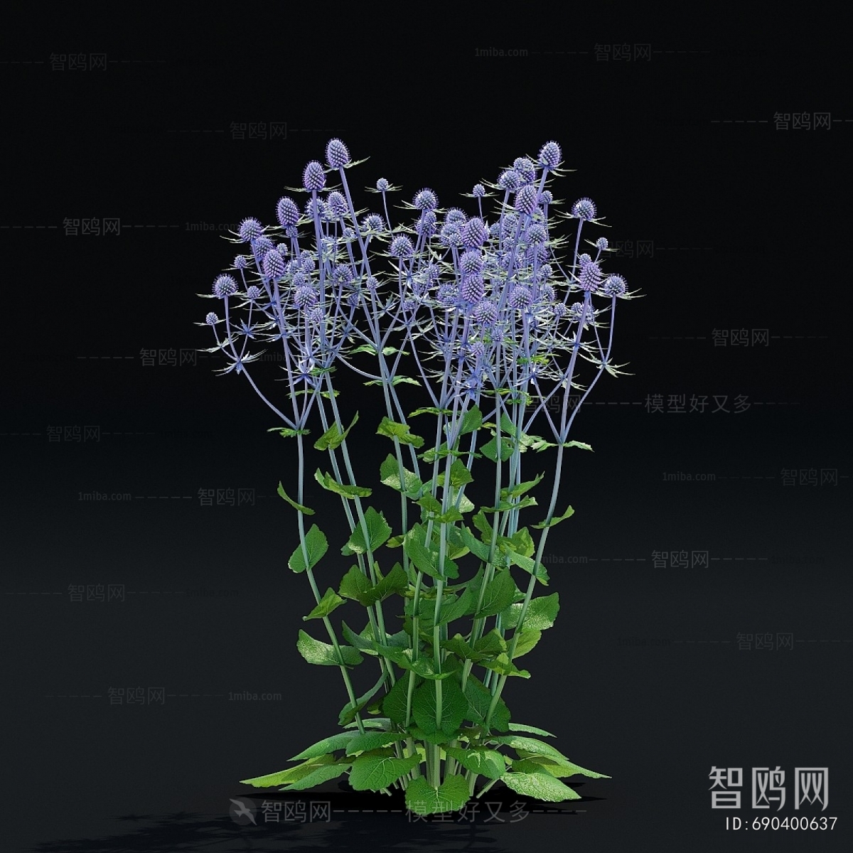 Modern Flowers And Grass