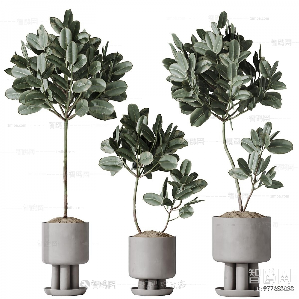 Modern Ground Green Plant Potted Plants