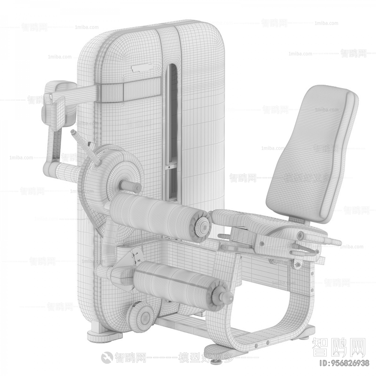 Modern Fitness Equipment