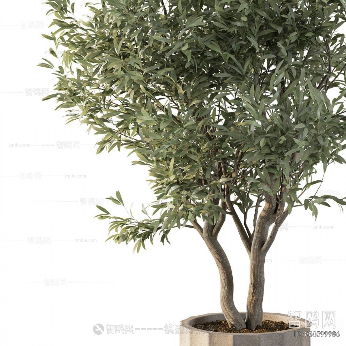Modern Ground Green Plant Potted Plants