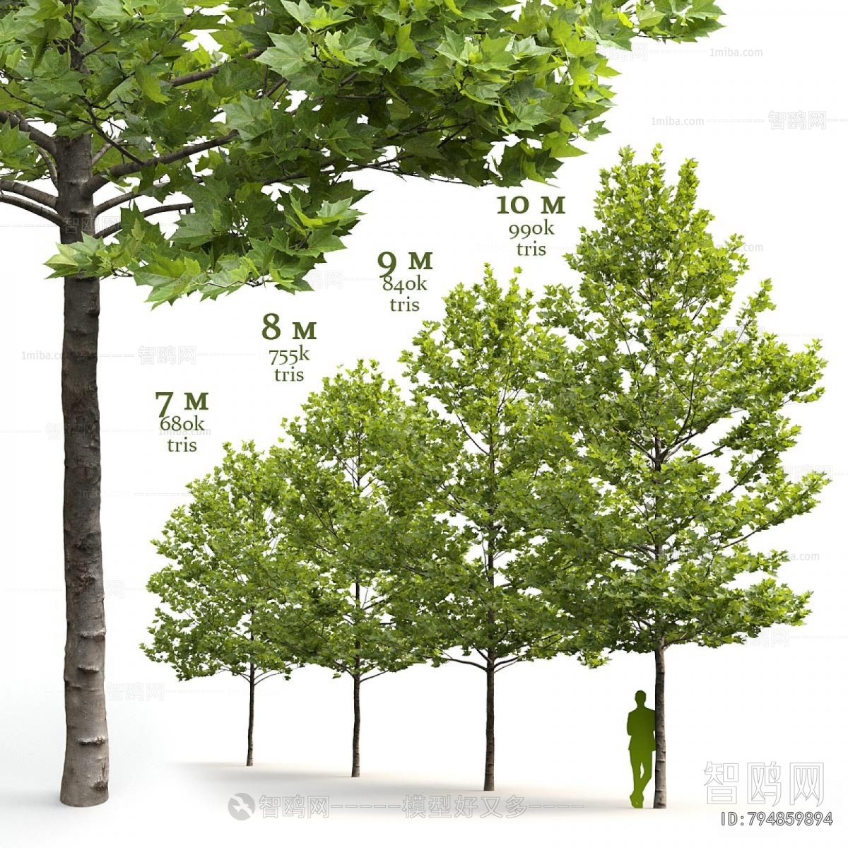 Modern Tree