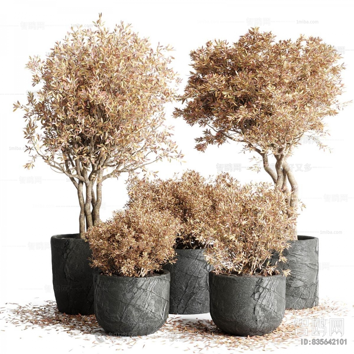 Modern Ground Green Plant Potted Plants