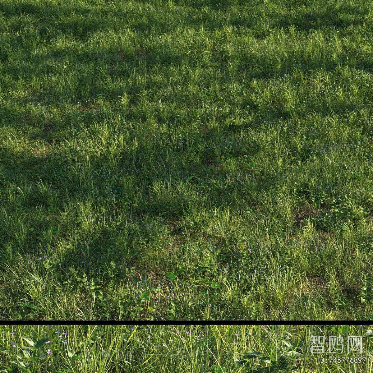 Modern The Grass