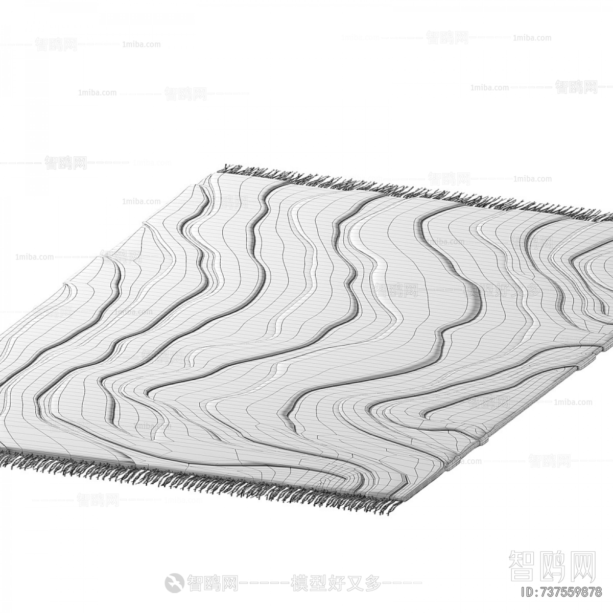 Modern The Carpet