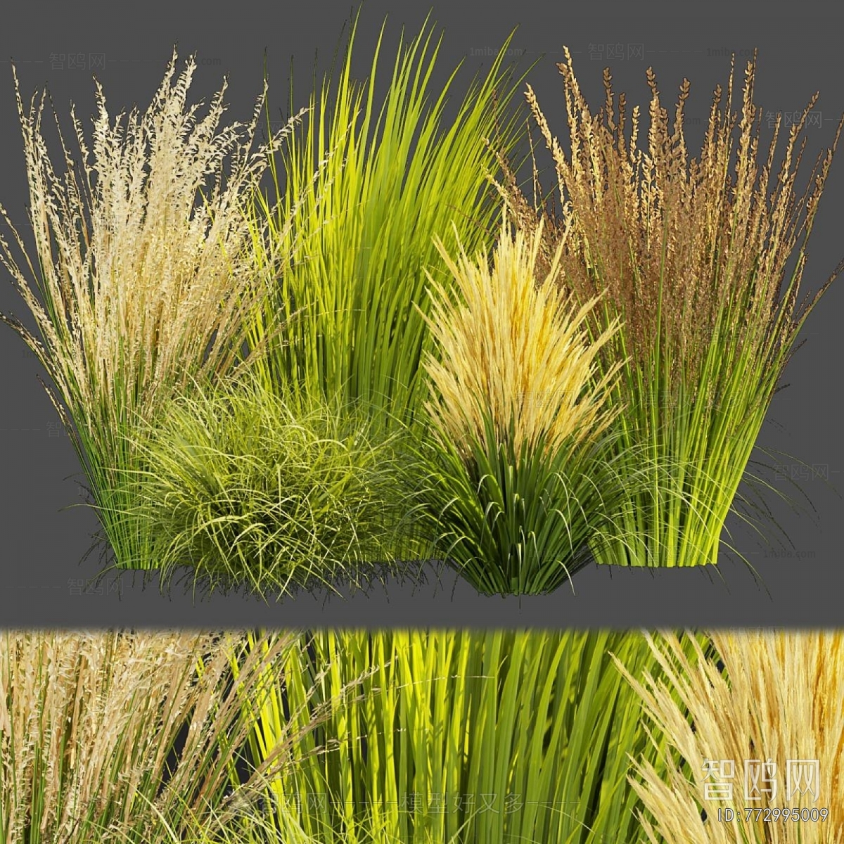 Modern The Grass