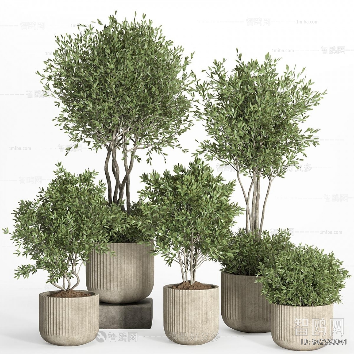 Modern Ground Green Plant Potted Plants