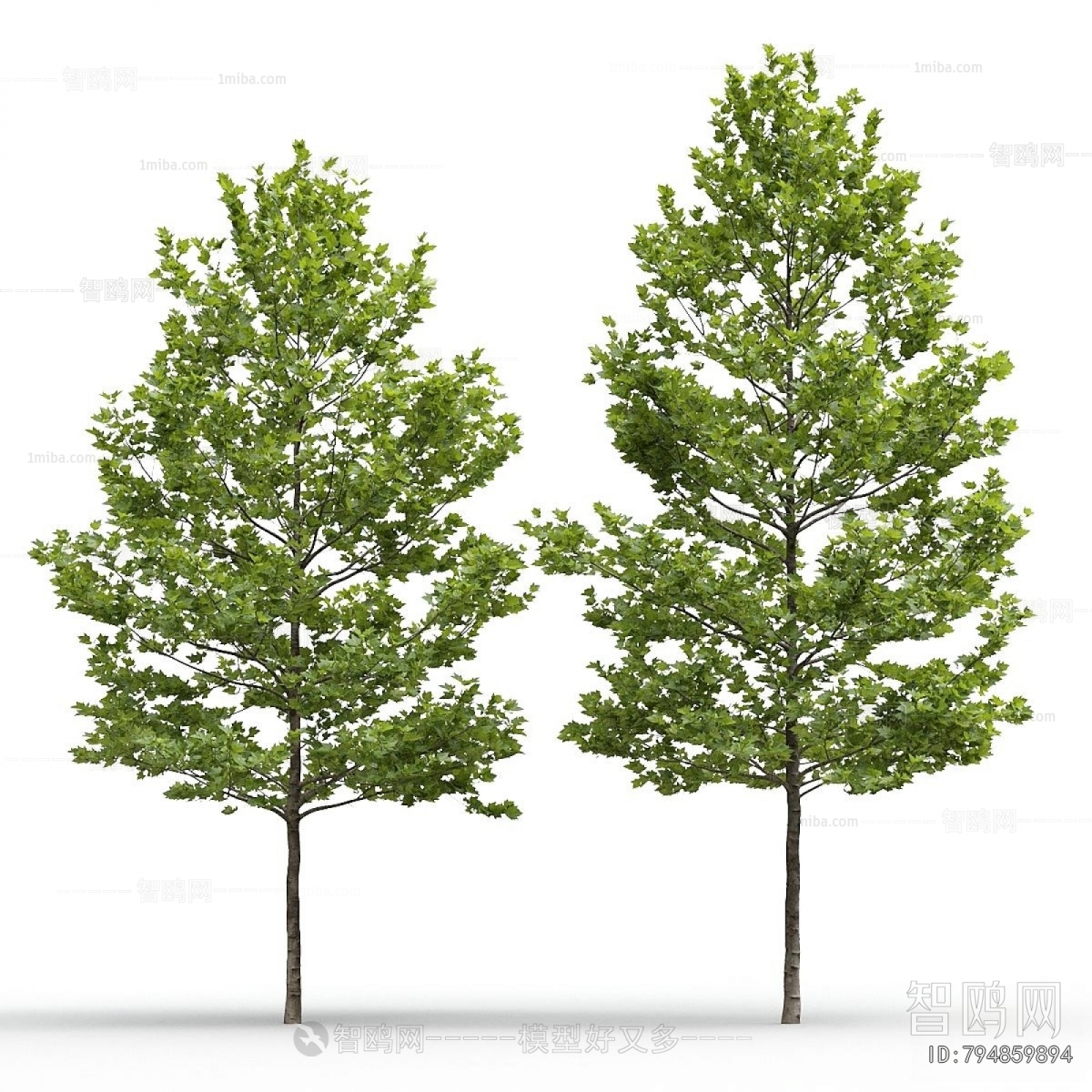 Modern Tree
