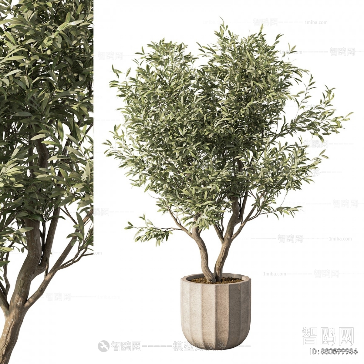 Modern Ground Green Plant Potted Plants