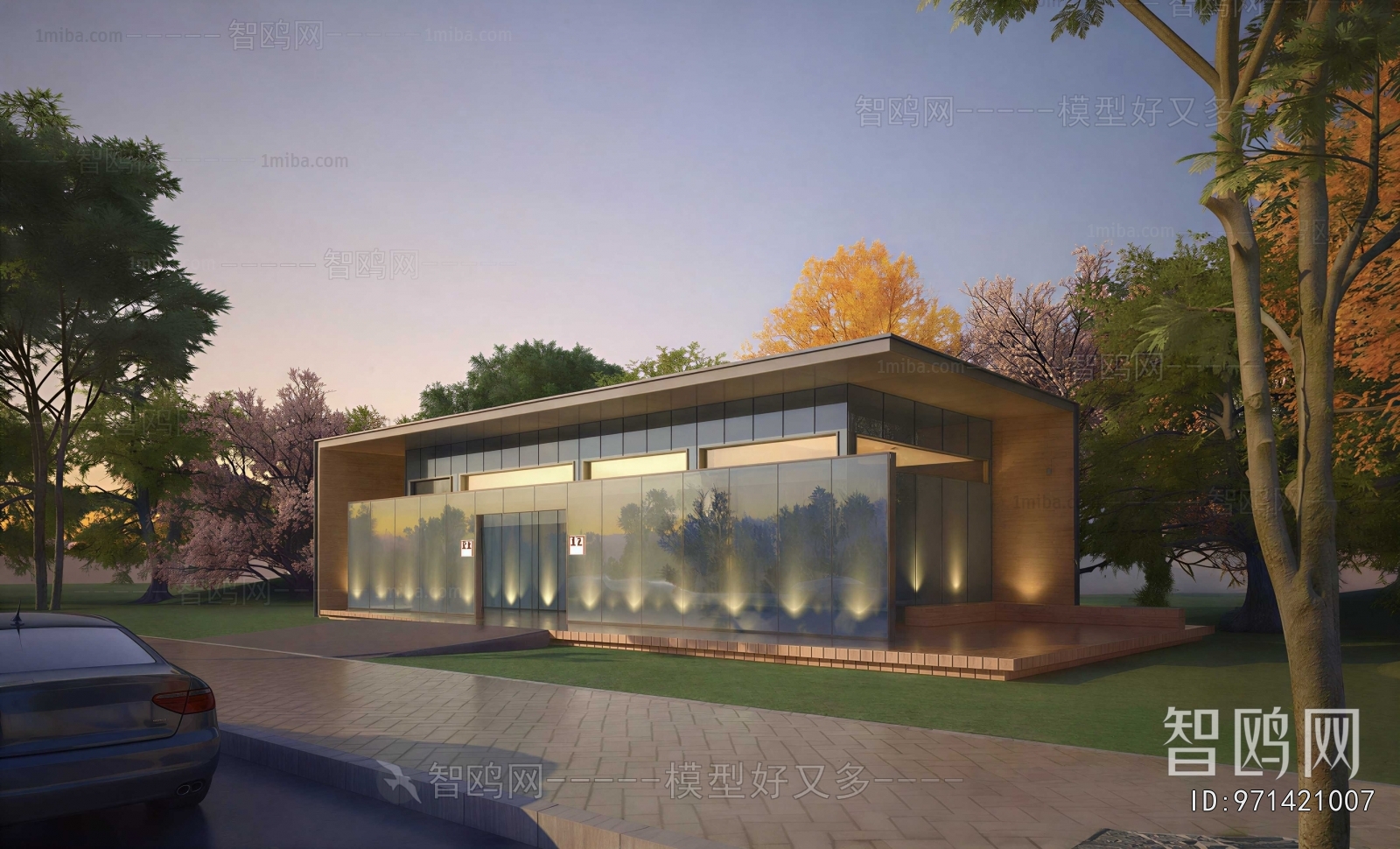 Modern Villa Appearance