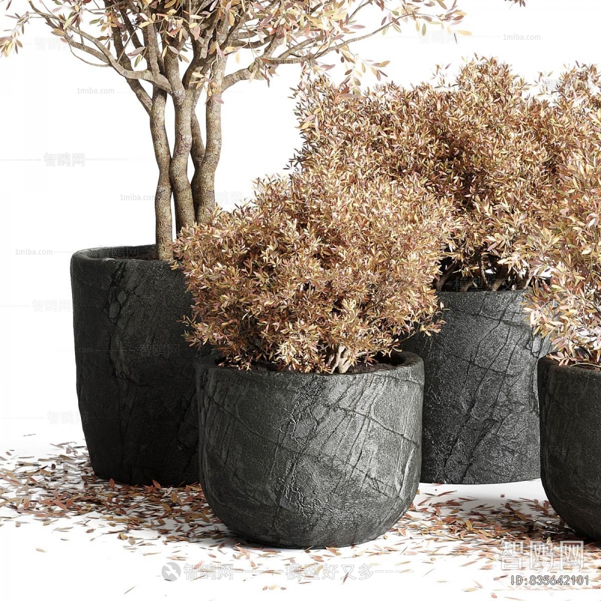 Modern Ground Green Plant Potted Plants