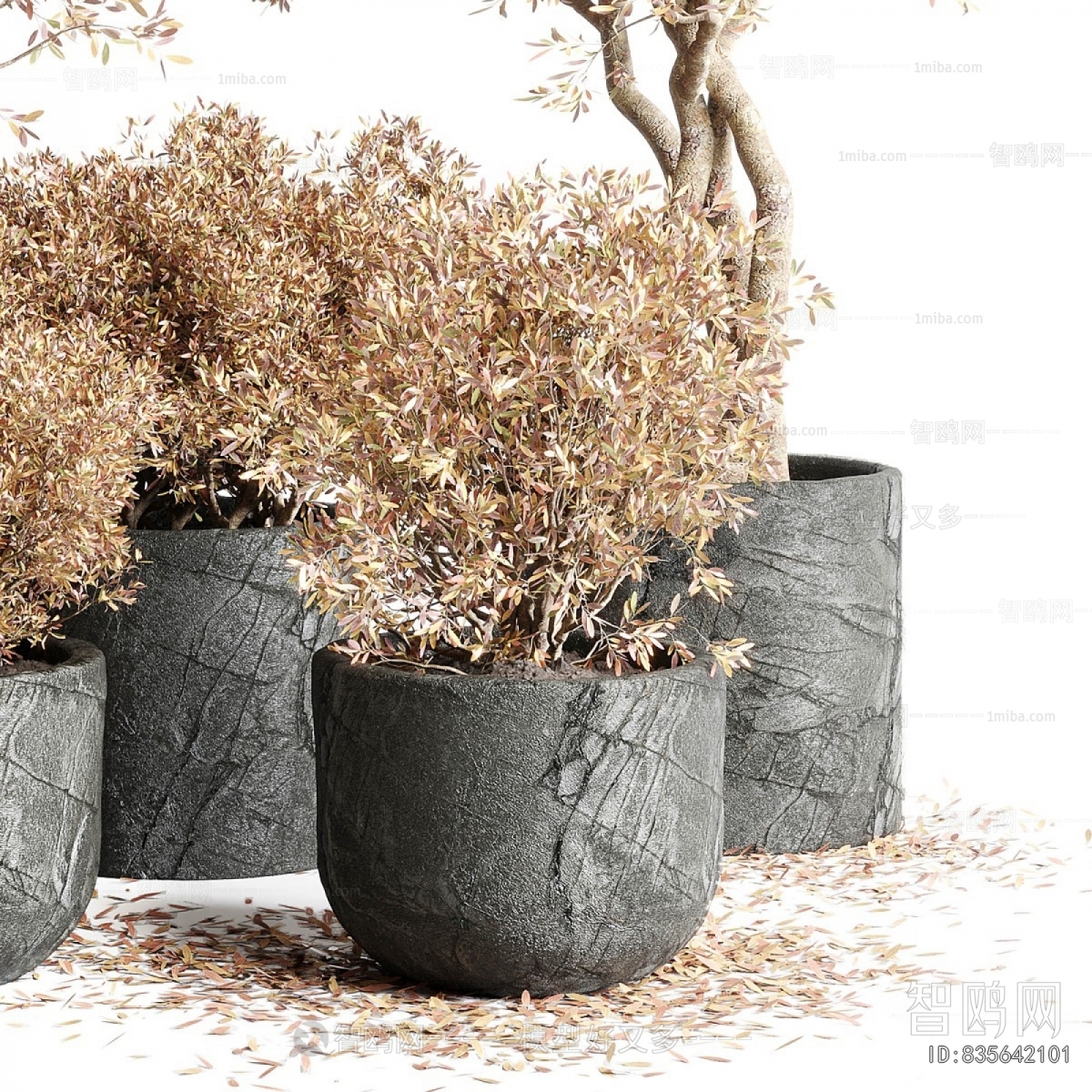Modern Ground Green Plant Potted Plants