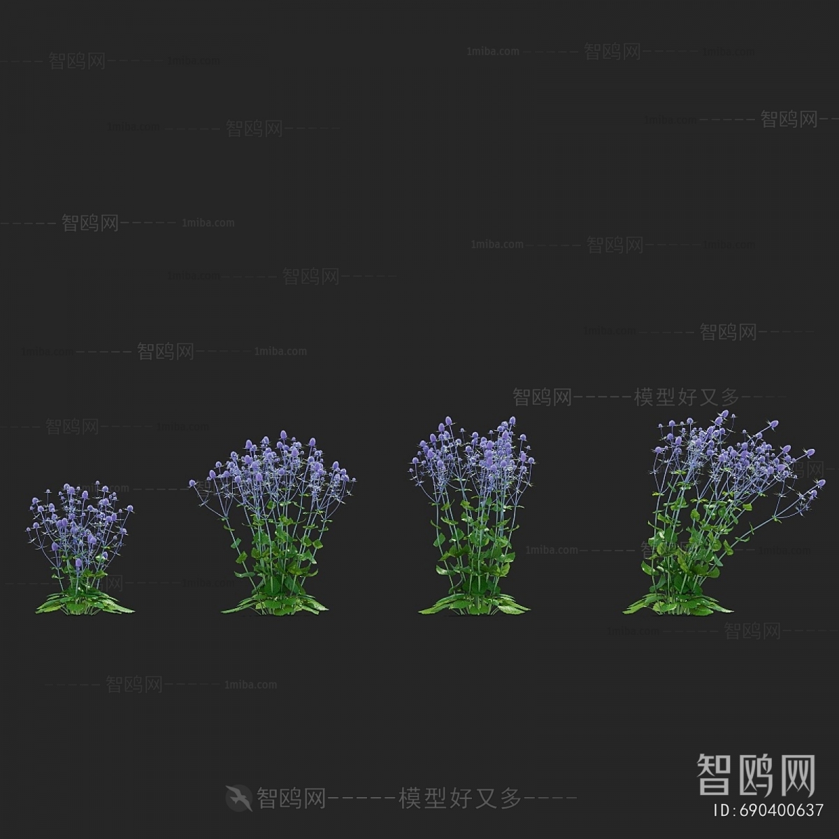 Modern Flowers And Grass
