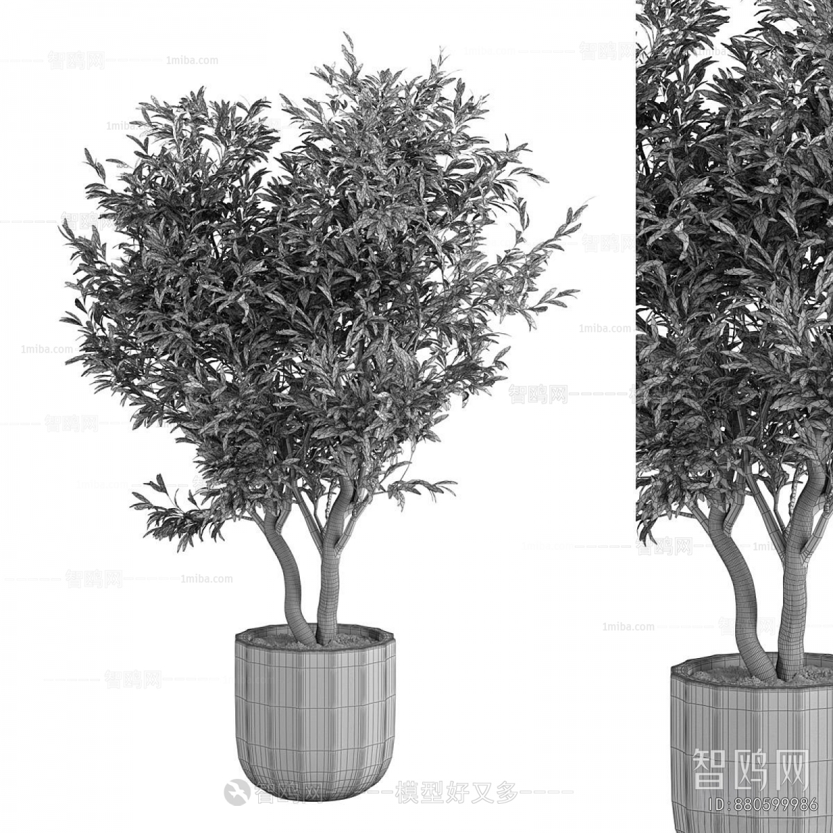 Modern Ground Green Plant Potted Plants