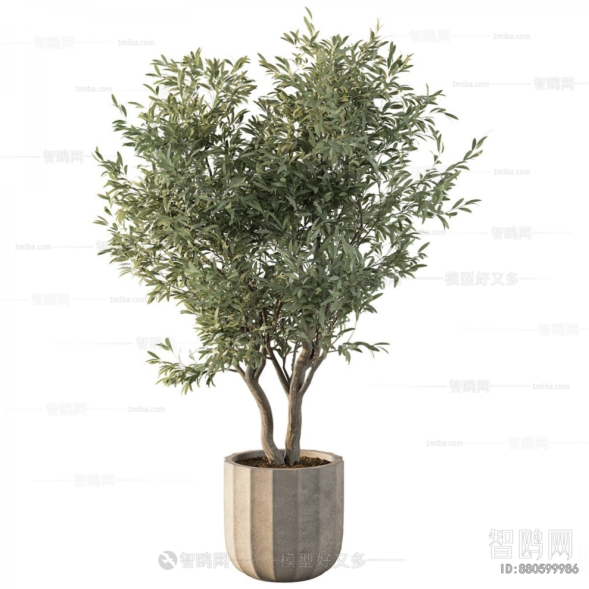 Modern Ground Green Plant Potted Plants