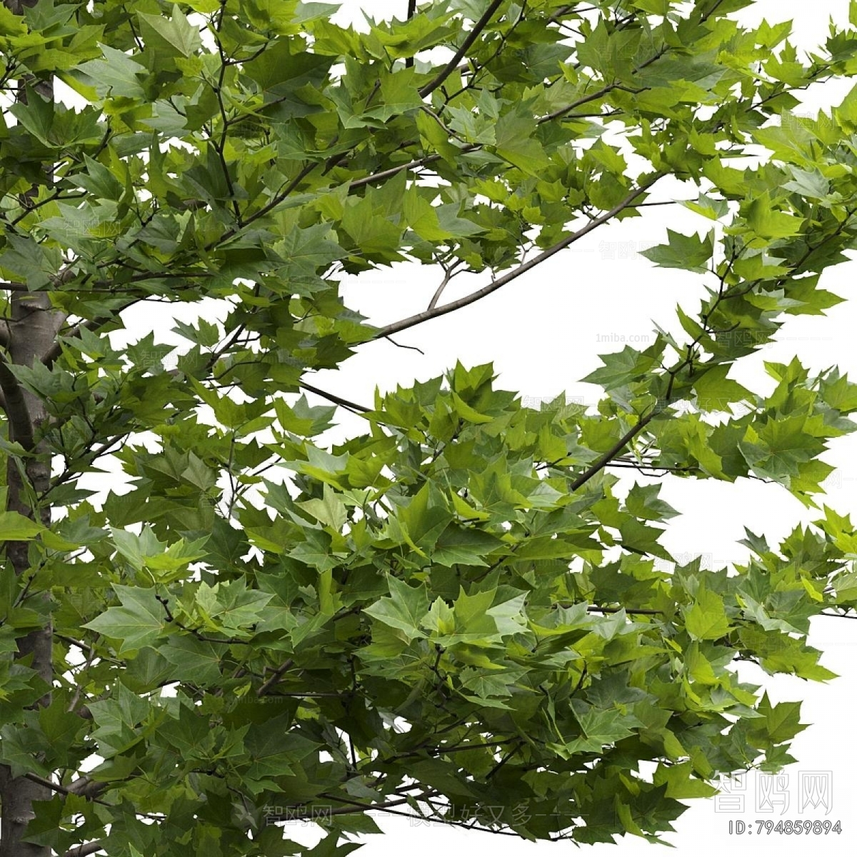 Modern Tree