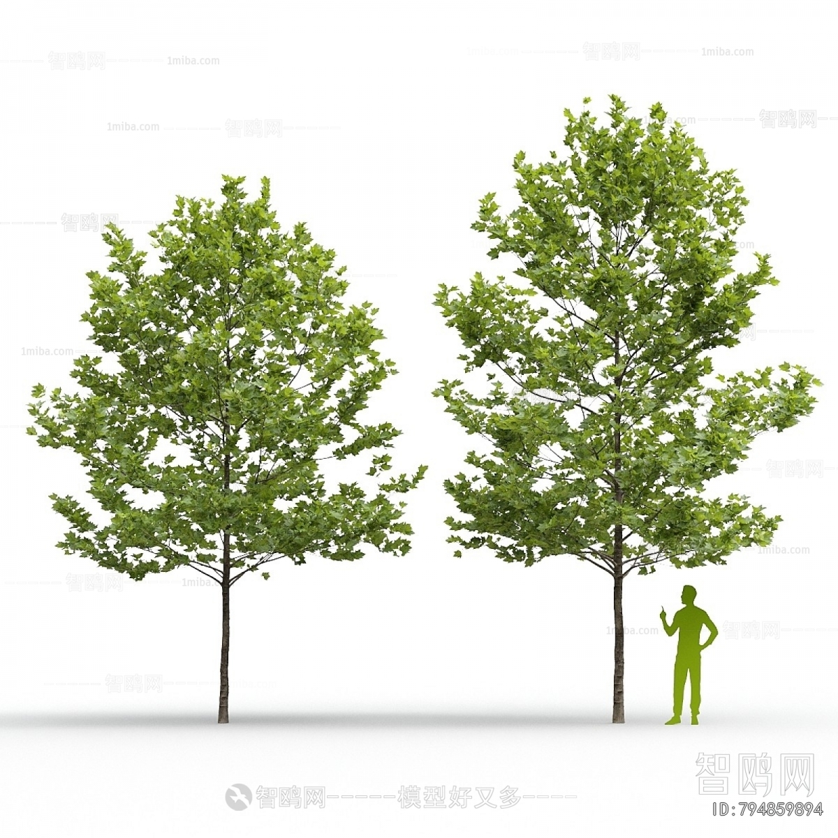Modern Tree