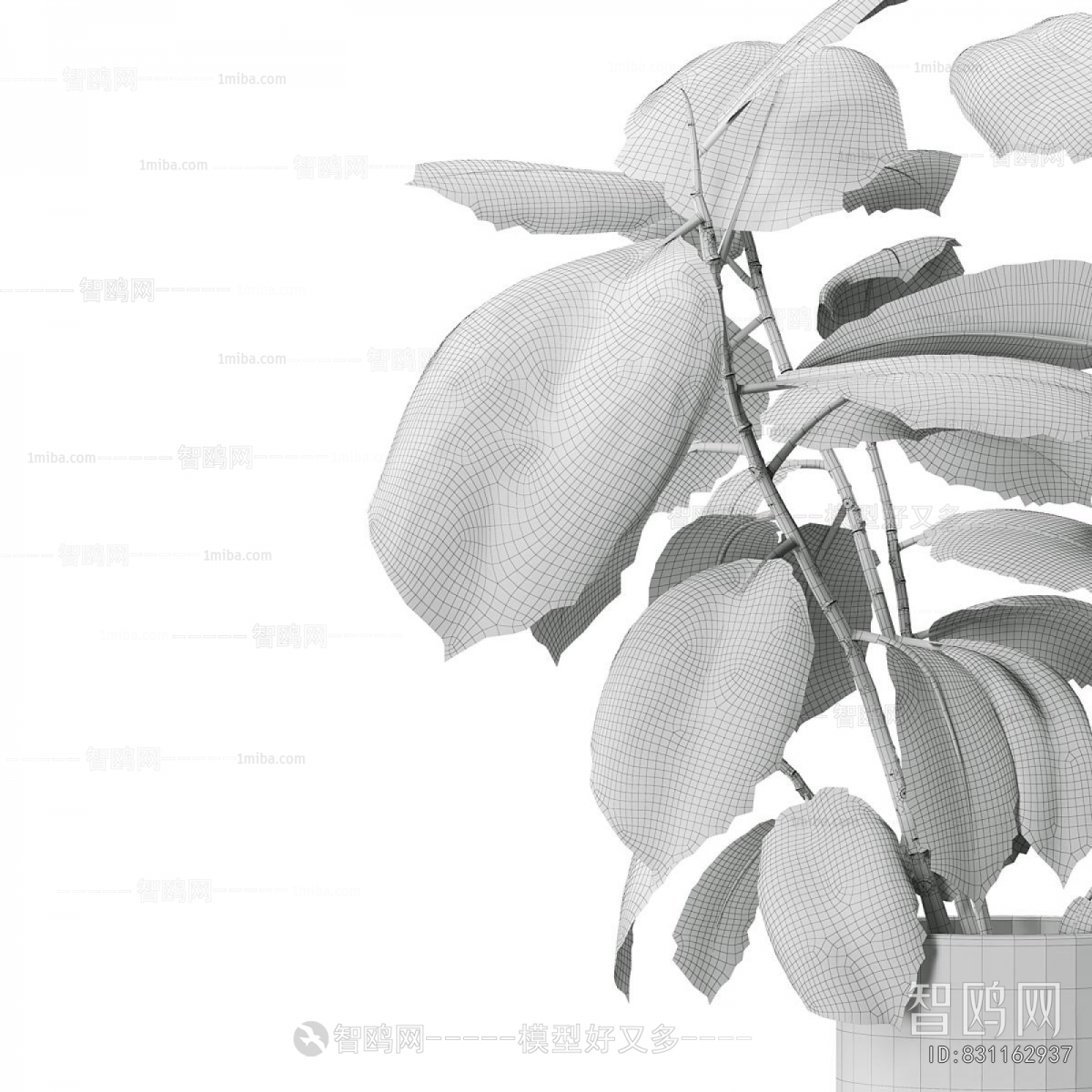 Modern Ground Green Plant Potted Plants