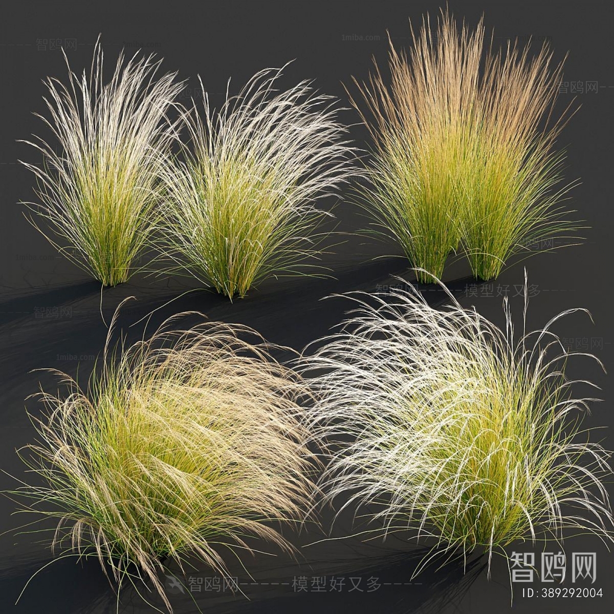 Modern Flowers And Grass
