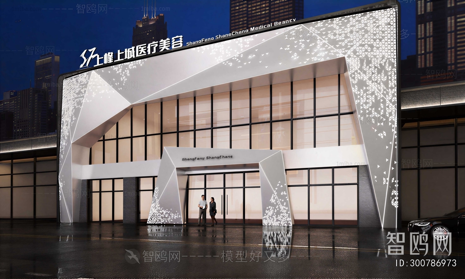 Modern Facade Element