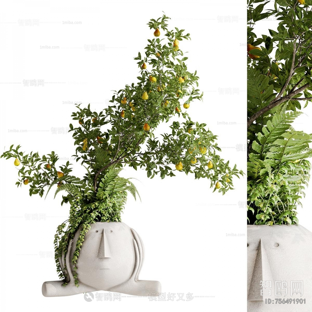 Modern Desktop Plant