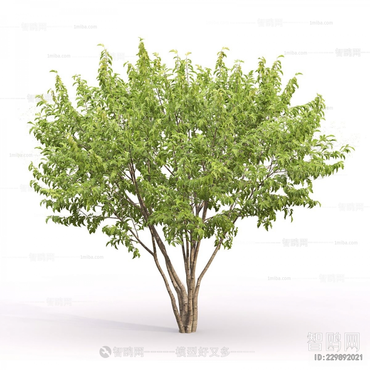 Modern Tree
