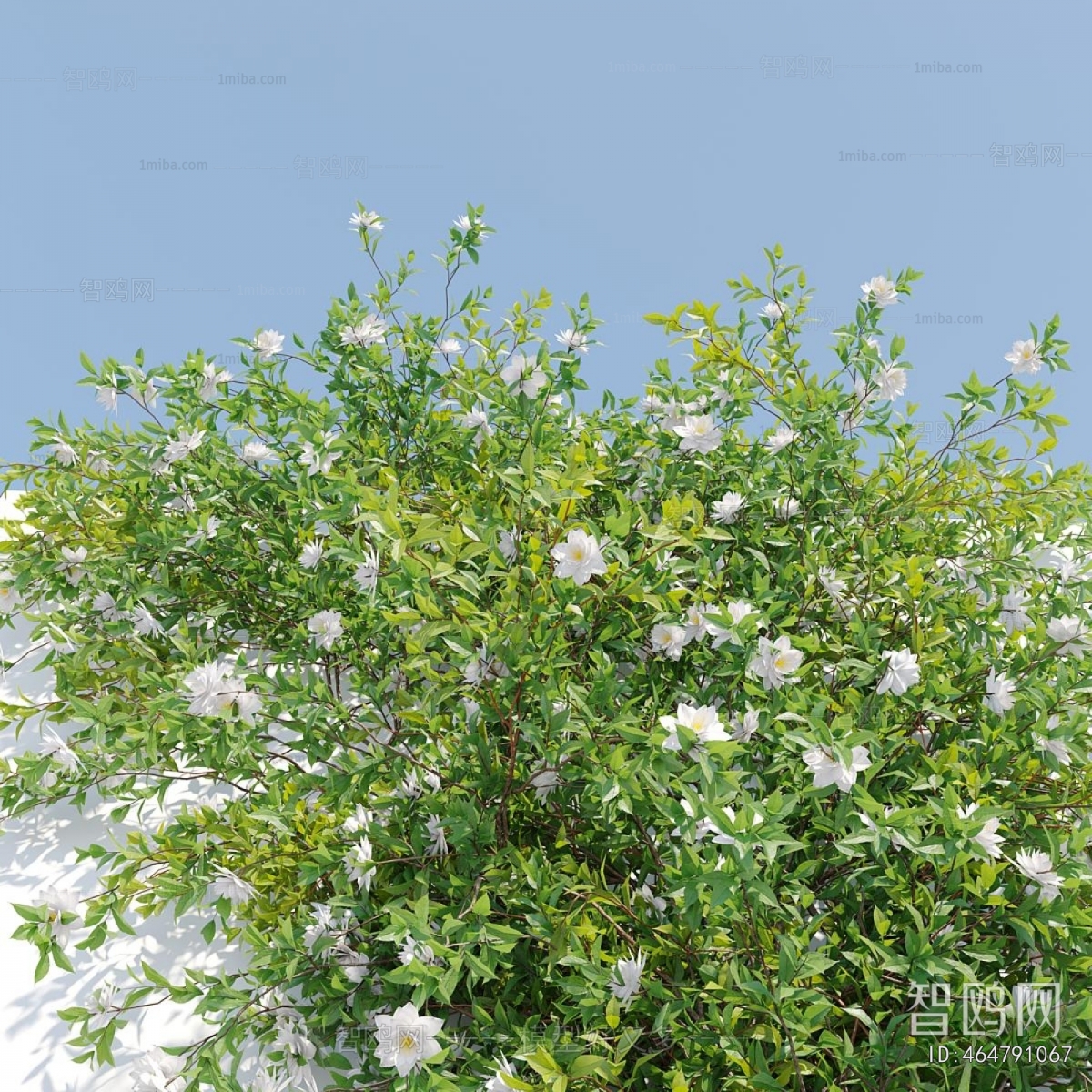 Modern Plant