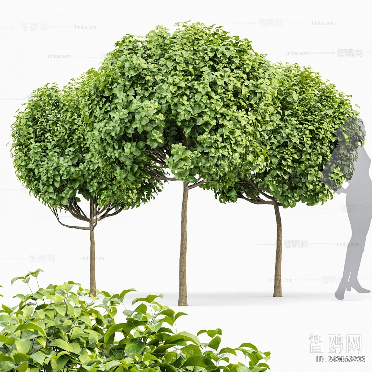 Modern Tree