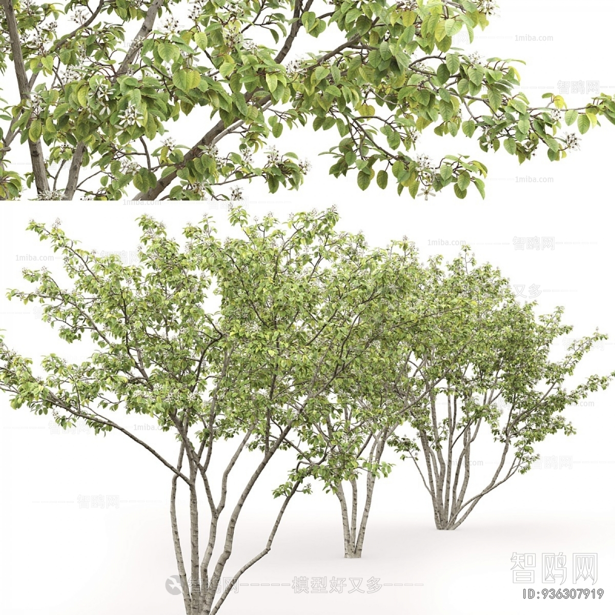 Modern Tree