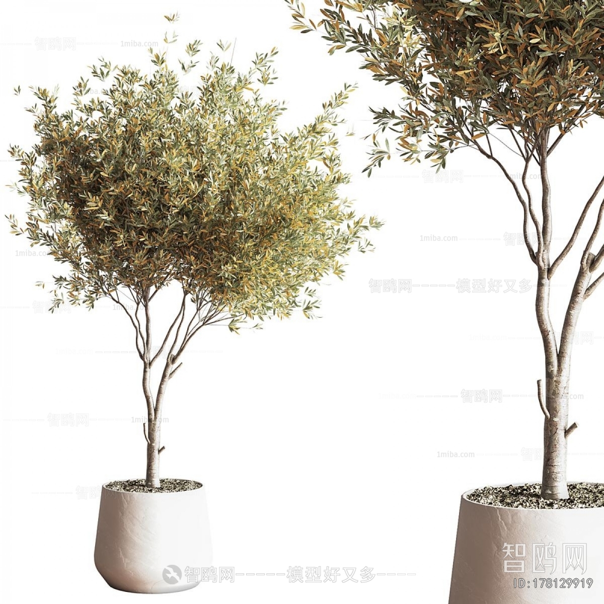 Modern Potted Green Plant