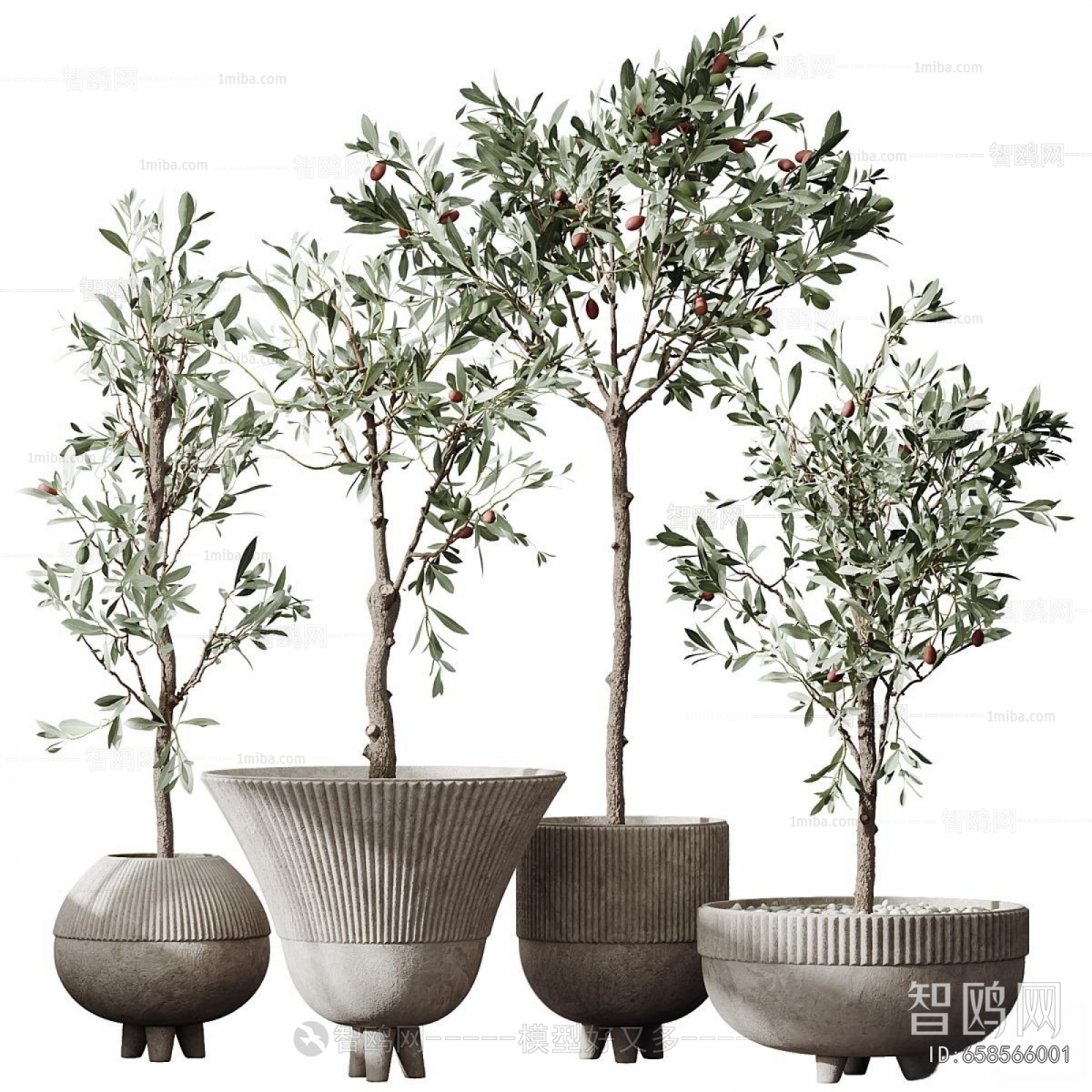 Modern Potted Green Plant