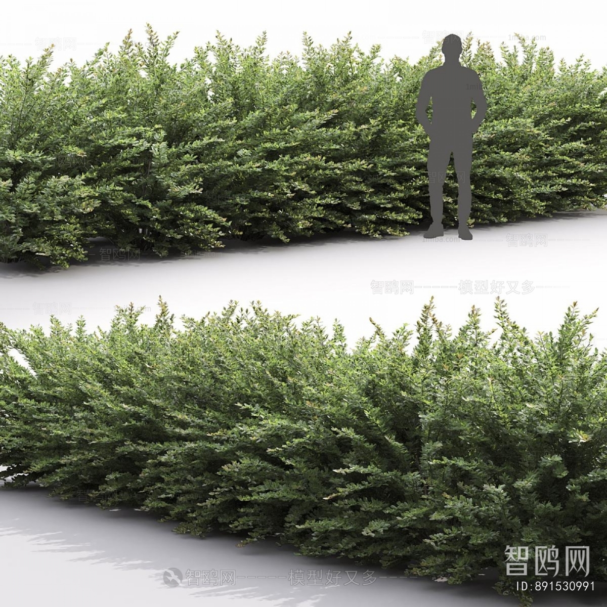 Modern Shrubbery