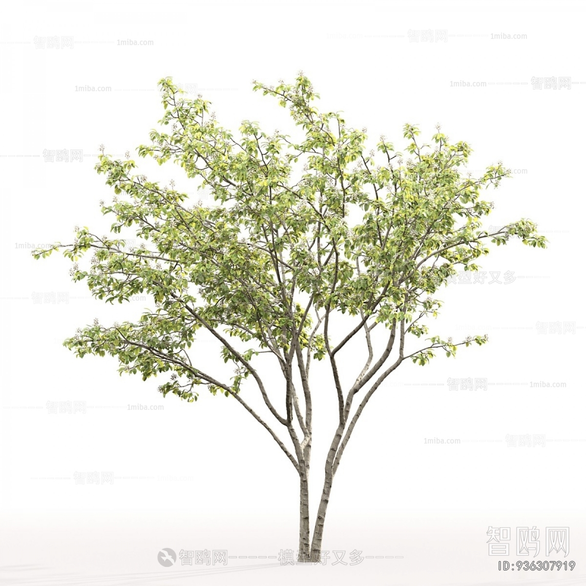 Modern Tree