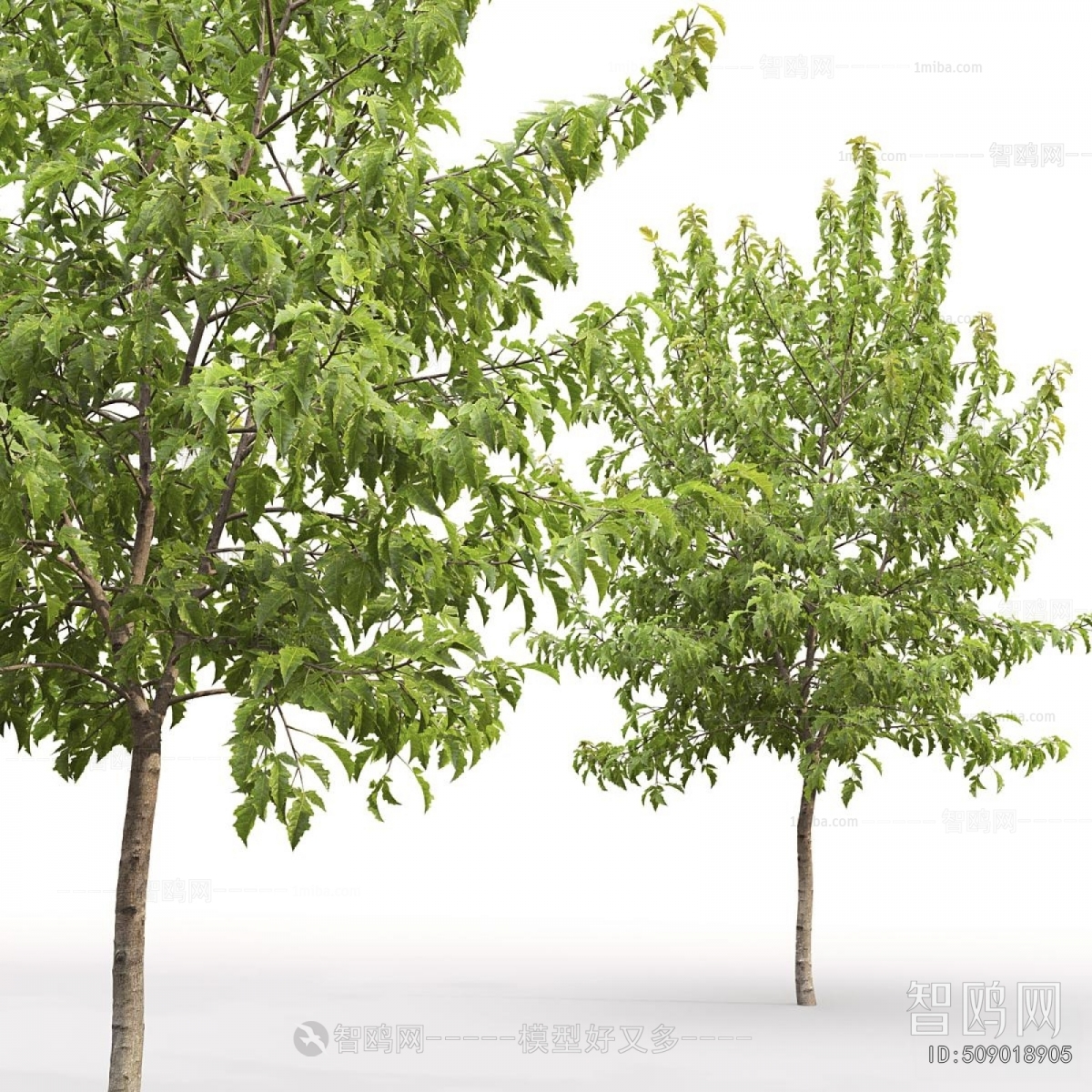 Modern Tree