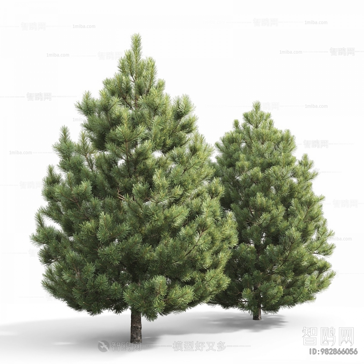 Modern Tree