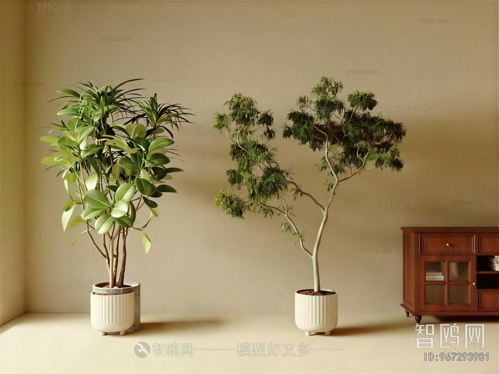 Modern Ground Green Plant Potted Plants