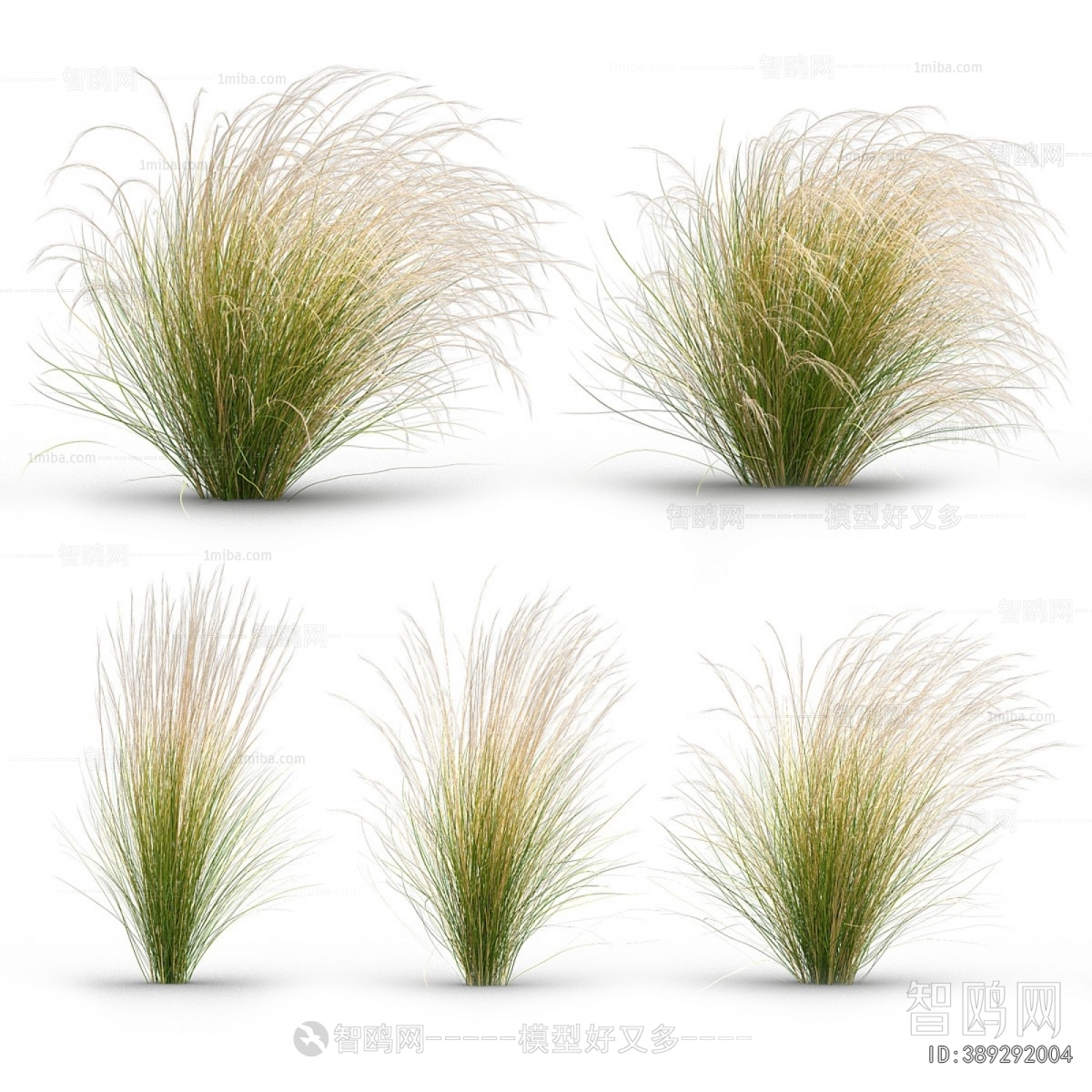 Modern Flowers And Grass