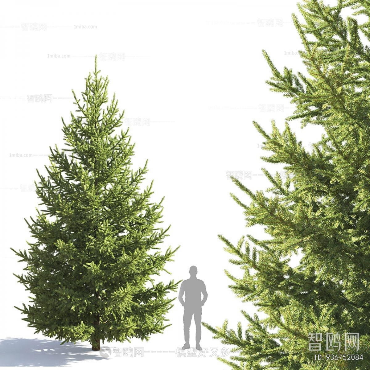 Modern Tree