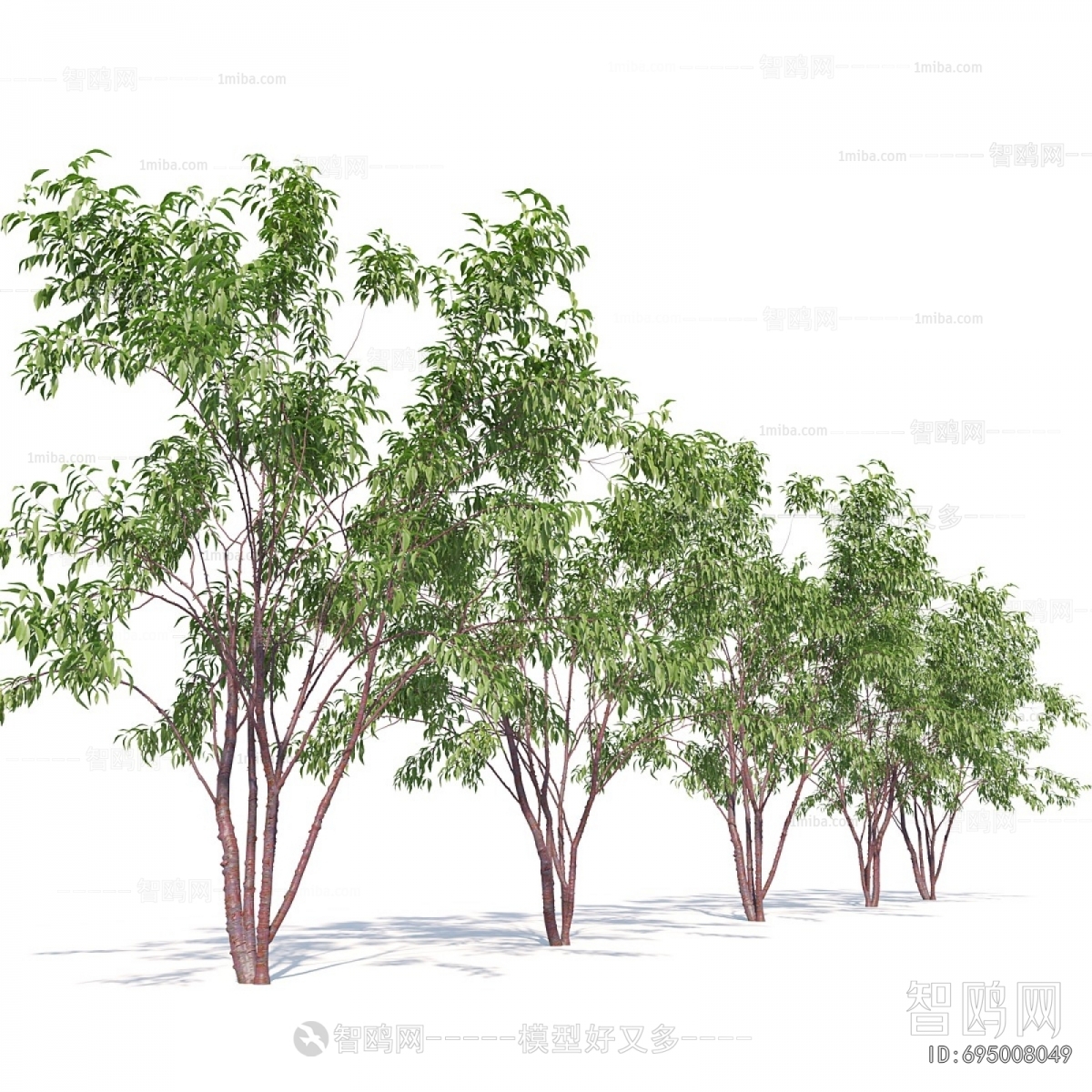 Modern Tree