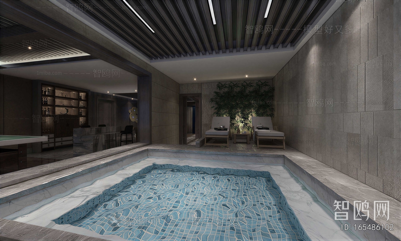 Modern Swimming Pool