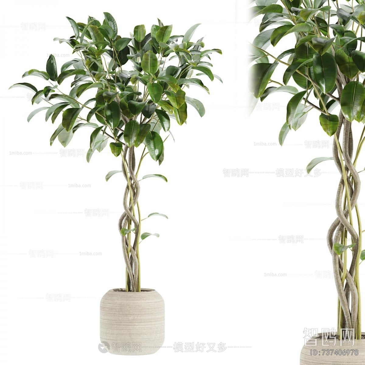 Modern Ground Green Plant Potted Plants