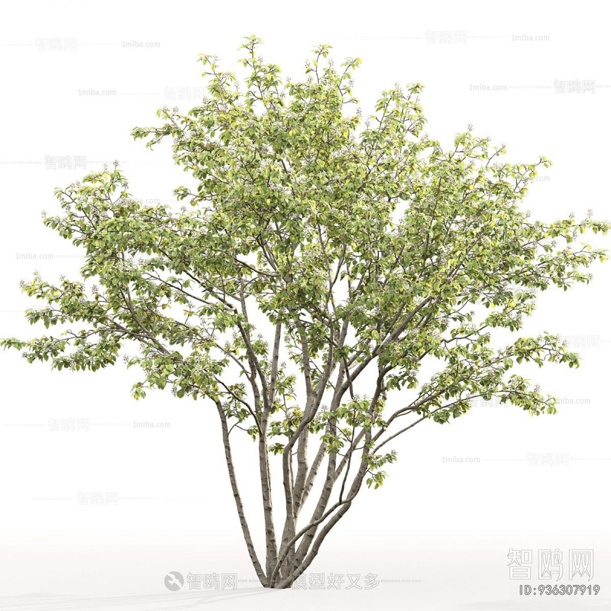 Modern Tree