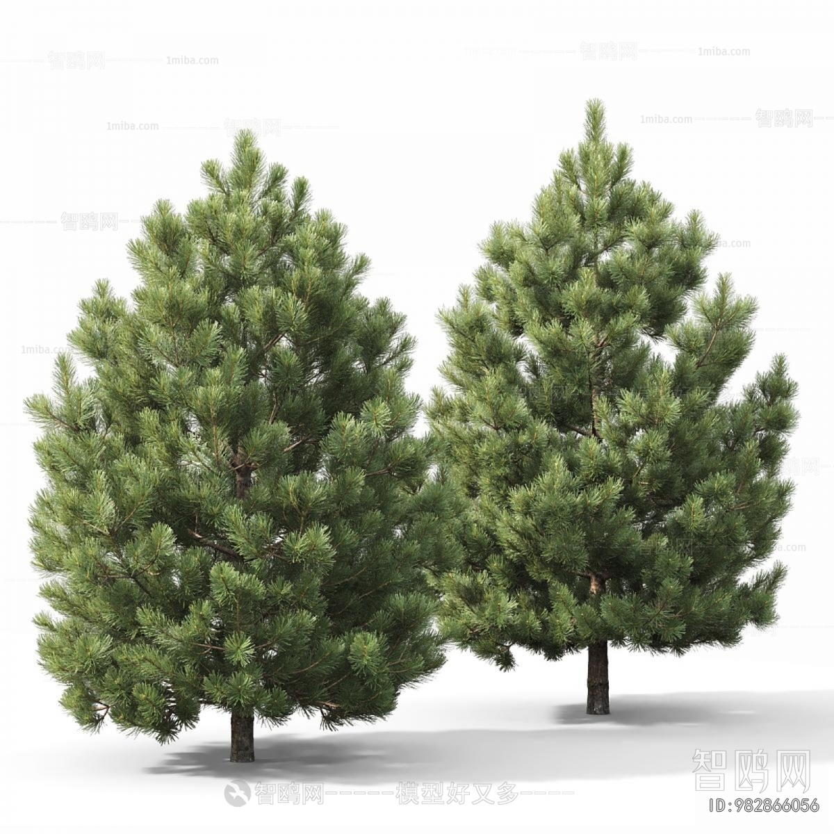 Modern Tree
